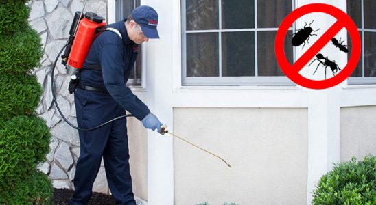 Esenler Böcek İlaçlama böcek ilaçlama ve haşere kontrolü — ilaclama-tr.com